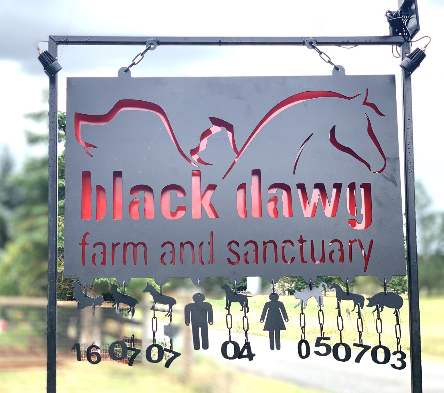 Black Dawg Sanctuary Offers Refuge for Animals in Rainier